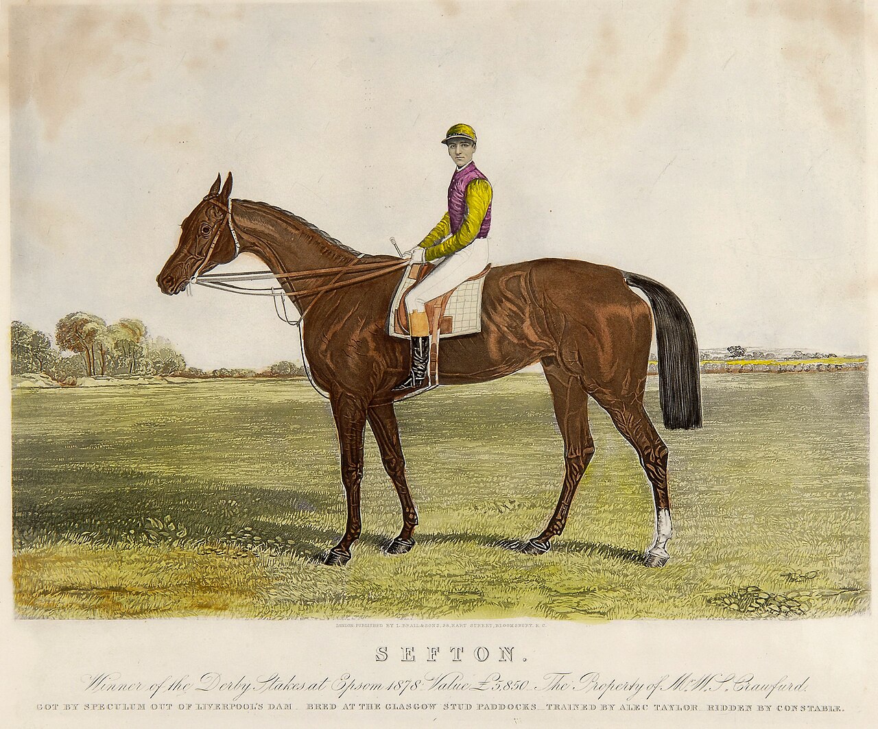 Жокей в цветах конюшни, 1878 год Жокей в цветах конюшни, 1878 год